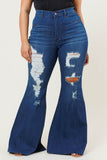 New Day Flare Jeans (Plus)